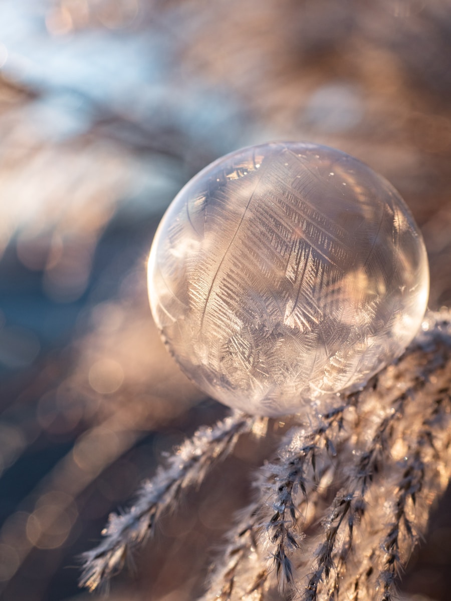 Les ambiances qui enchanteront votre Noël